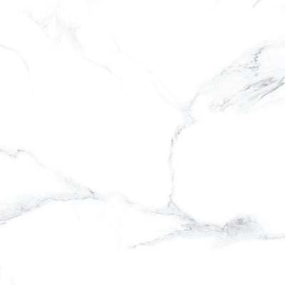 Calacatta Blanco / 24x24 / Glossy