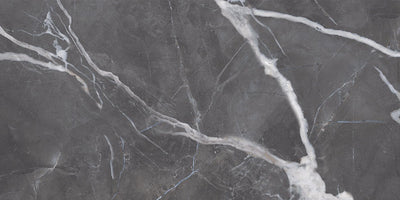 Cenerino / 12x24 / Glossy