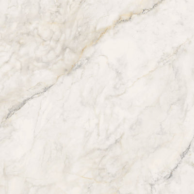 Oro / 48x48 / Porcelain Glossy