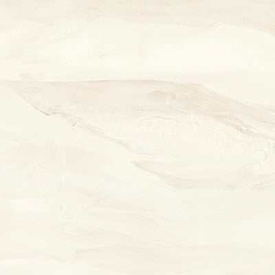 White / 12x12 / Porcelain Matte