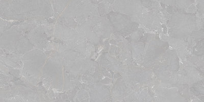 Grey / 12x24 / Matte