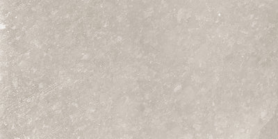 Grey / 12x24 / Matte