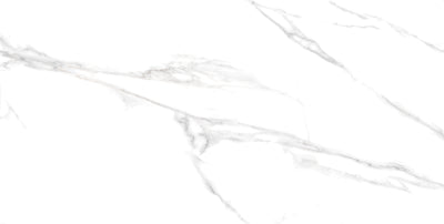 Carrara / 12x24 / Matte