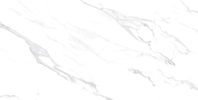 Carrara / 24x48 / Matte