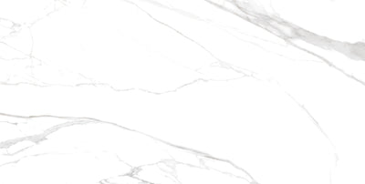 Carrara / 24x48 / Glossy