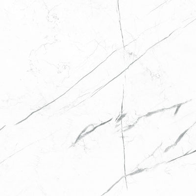 Marquina White / 12x12 / Matte