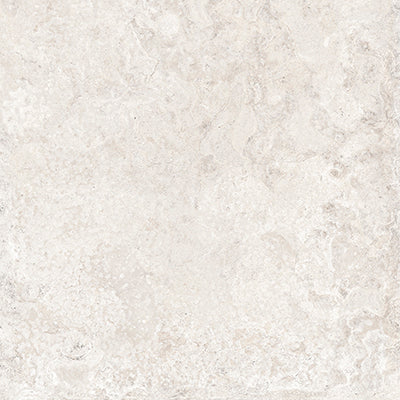 Blanc / 8x8 / Matte