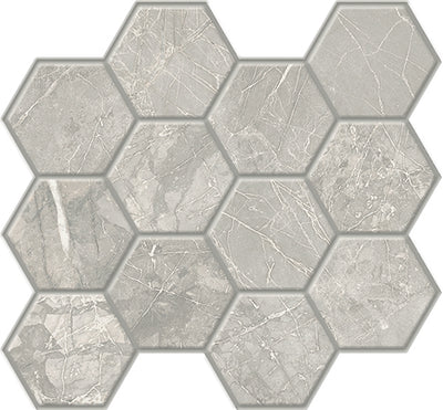 Savoy Gray / 3x3.5 Hexagon Mosaic / Matte