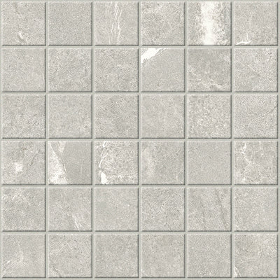 Dolomite Gray / 2x2 Mosaic / Matte