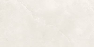 Venus / 24x48 / Matte