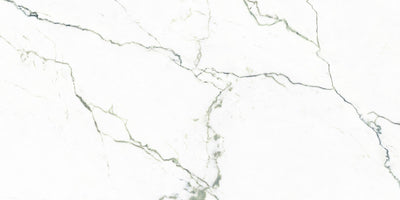 Verde / 12x24 / Glossy