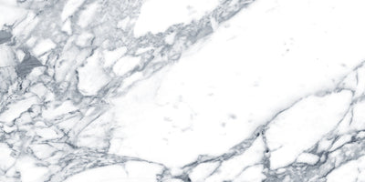 Arabescato / 24x48 / Glossy