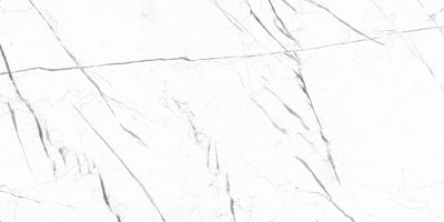Marquina White / 24x48 / Matte