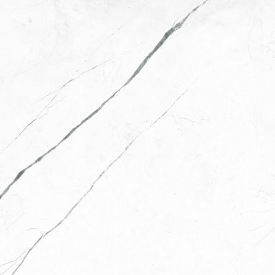 Marquina White / 24x24 / Glossy