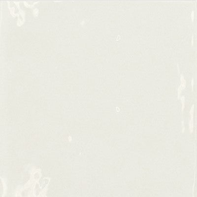 Coconut / 5x5 / Glossy
