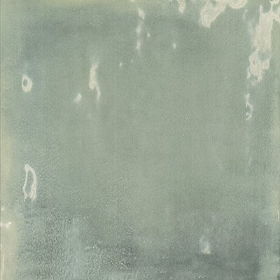 Eucalyptus / 5x5 / Glossy