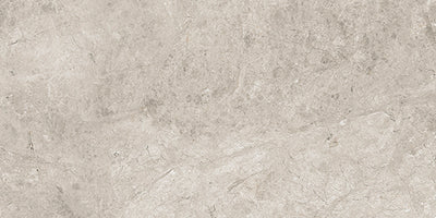 Shale / 12x24 / Matte