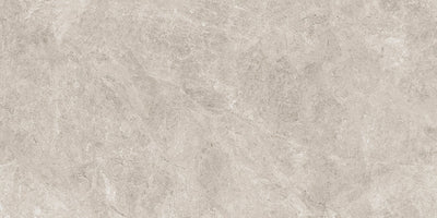 Shale / 24x48 / Matte