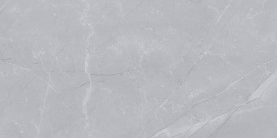 Silver / 12x24 / Porcelain Matte