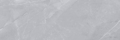 Silver / 4x12 / Porcelain Matte