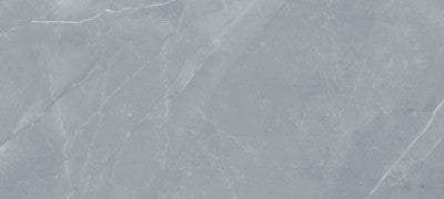 Steel Grey / 10x22 / Ceramic Glossy