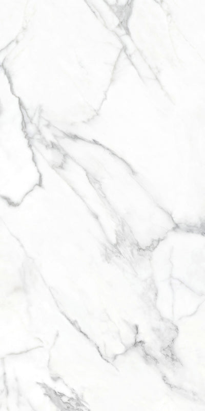 Calacatta Blanco / 24x48 / Matte