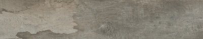 Sesame / 8x40 / Matte