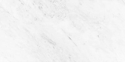 White / 12x24 / Honed