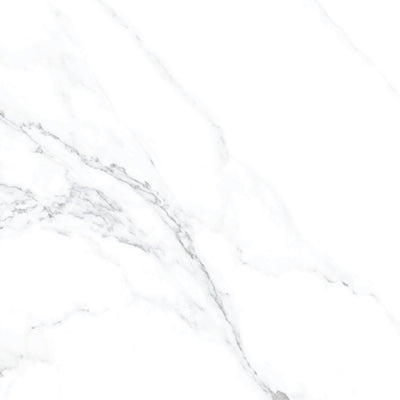 Calacatta Blanco / 24x24 / Matte