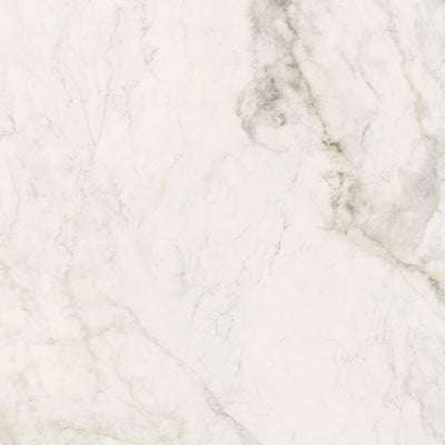 Oro / 48x48 / Porcelain Matte