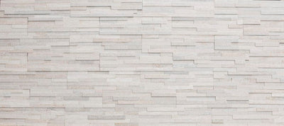 Berkshire Buff Shadowstone Quartzite / 6x24 / Natural