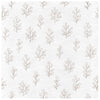 Birch White