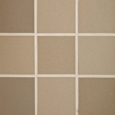 Buckskin / 6x6 / Matte