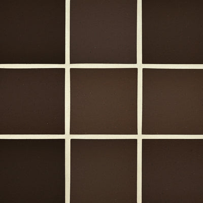 Chestnut Brown / 6x6 / Matte