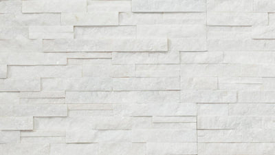 Arctic White Shadowstone Quartzite / 6x24 / Natural
