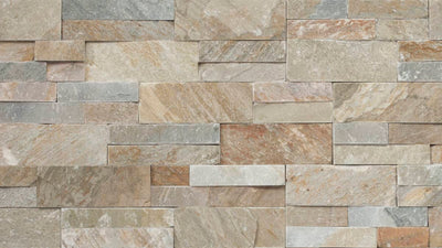 Sierra Accentstone Quartzite / 6x24 / Natural