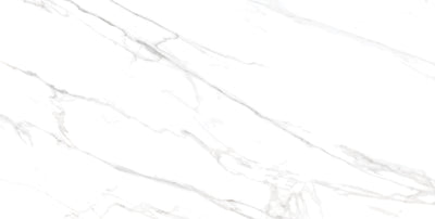 Carrara / 12x24 / Glossy