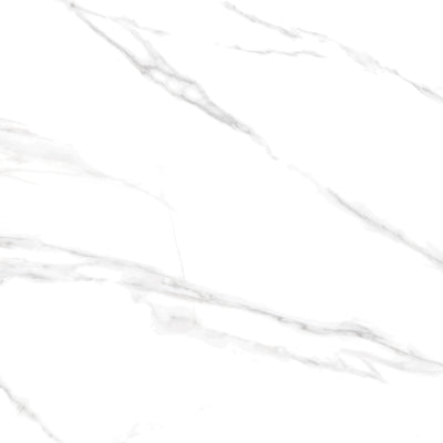 Carrara / 24x24 / Matte