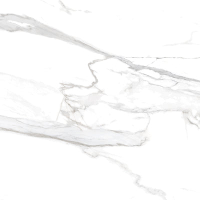 Carrara / 24x24 / Glossy