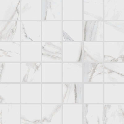 Carrara / 2x2 Mosaic / Matte