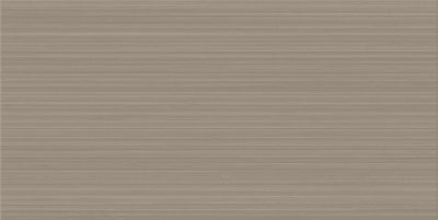 Elegant / 12x24 / Matte