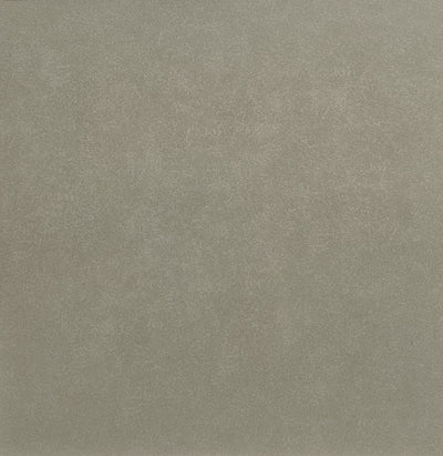 Grigio Talpa Light / 24x24 / Matte