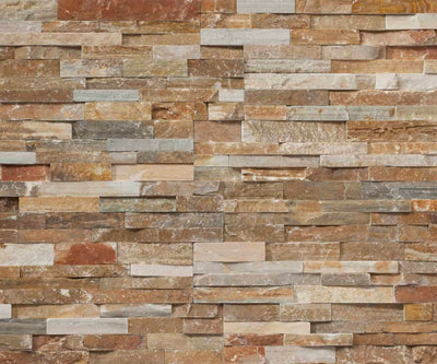 Mountain Rust Ledgestone Quartzite / 6x24 / Splitface