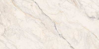 Oro / 24x48 / Porcelain Matte