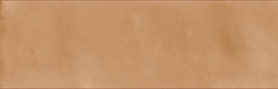 Earth / 2x6.5 / Matte
