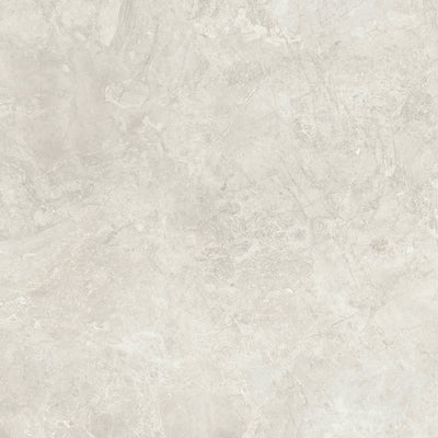 Savoy White / 24x24 / Matte