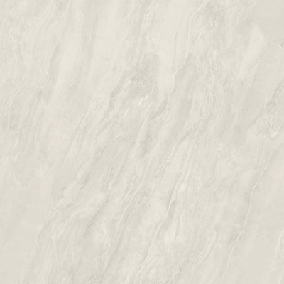 Vanta White / 24x24 / Matte