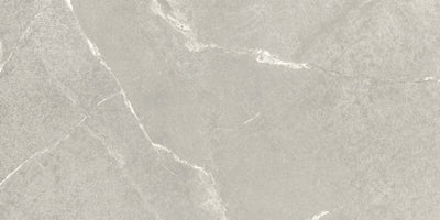 Dolomite Gray / 24x48 / Matte