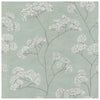 Sage Mist