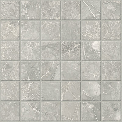 Savoy Gray / 2x2 Mosaic / Matte